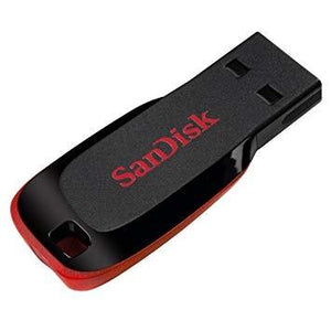 SanDisk 32 GB Cruzer Blade USB Flash Drive